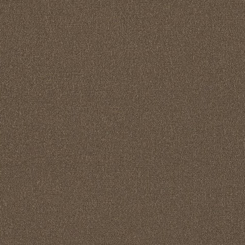 Cacao 8776
