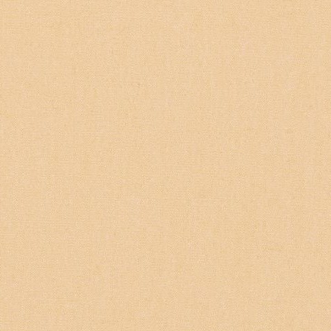 Champagne 0806