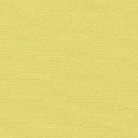Citron 7703