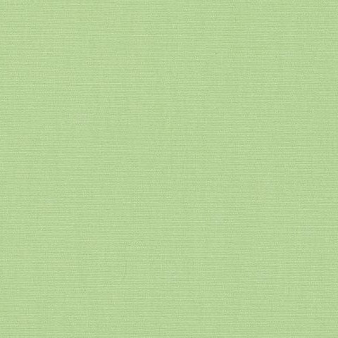Menthe 7557