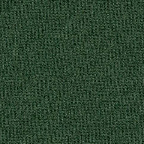 Olive 0853