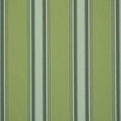 Chicago Green D310