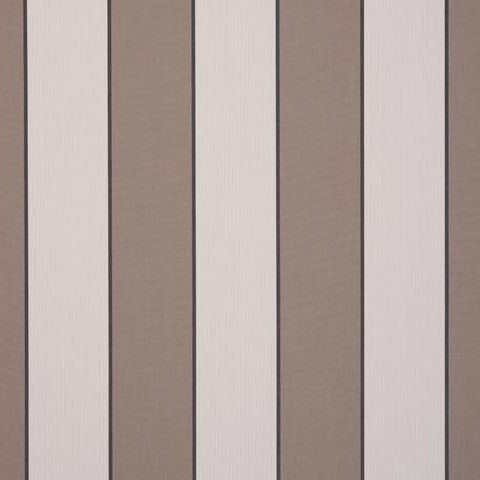 Sienne Beige d100