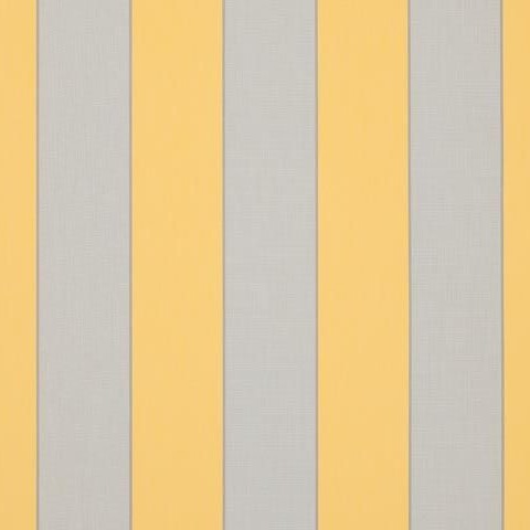 Sienne Yellow D303